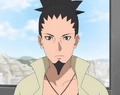 Shikamaru Adulthood.webp